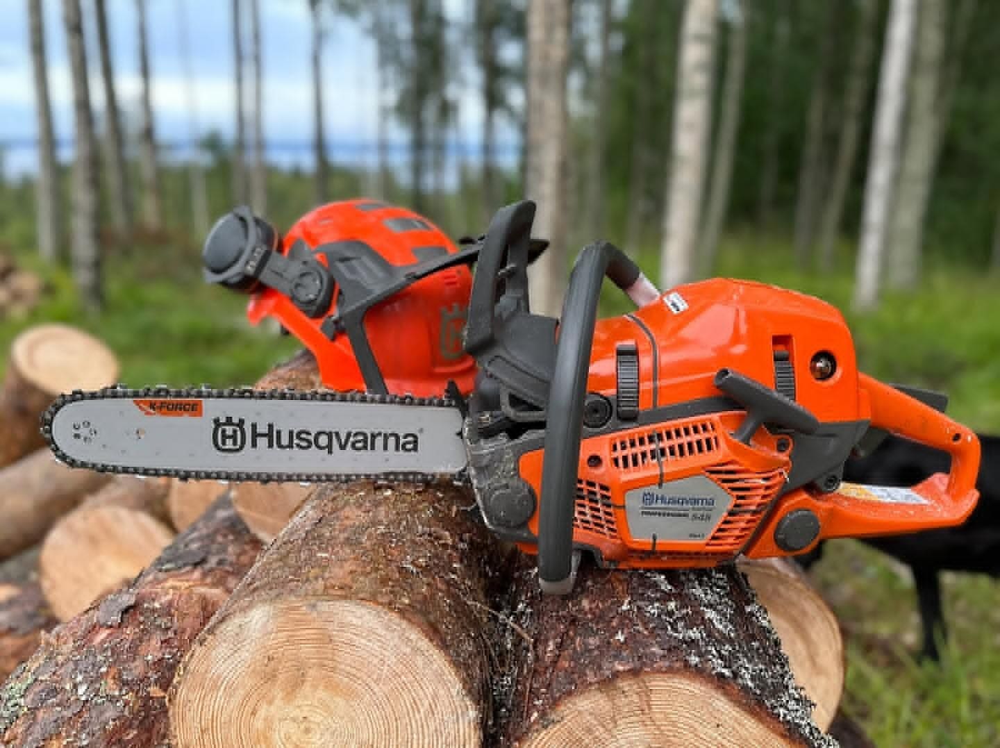 En Husqvarna-motorsåg och en orange skyddshjälm med visir ligger på en trave nykapade stockar i en björkskog.